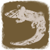 Lacerta