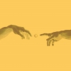 YellowLab