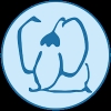 g16075