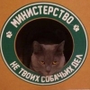 v8272