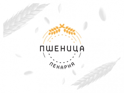 Пшеница