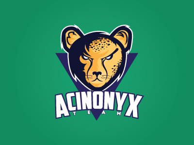 Acinonyx Team