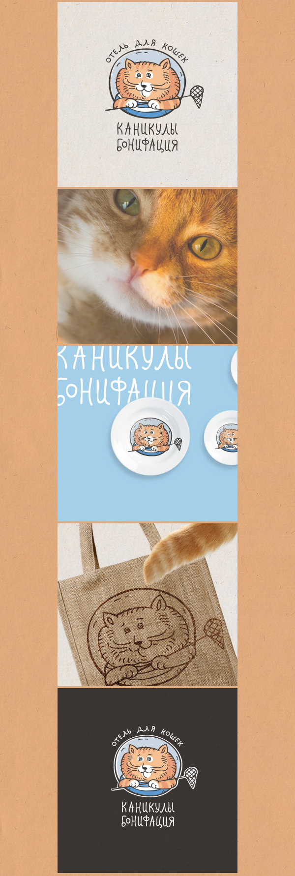 Кошачий отель presentation