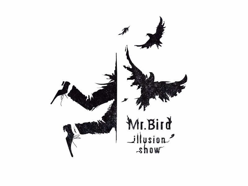 Mr Bird