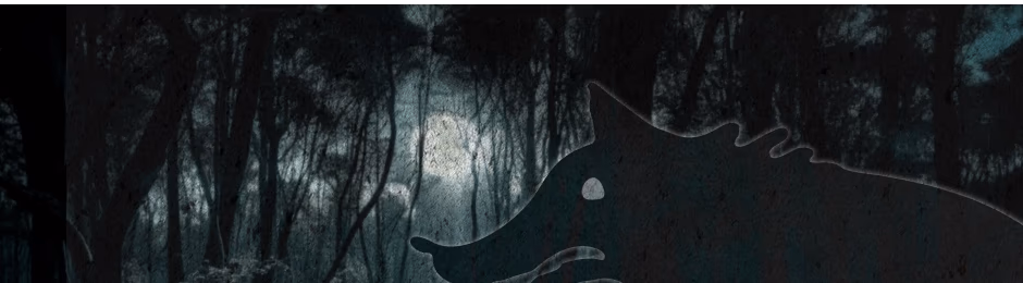 Волк presentation