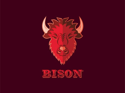 Bison
