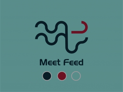 MeetFeed