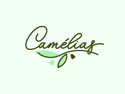 Camelias