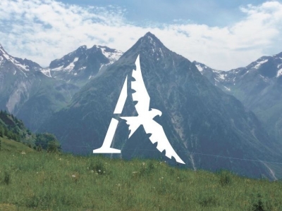 Лого для торговой компании