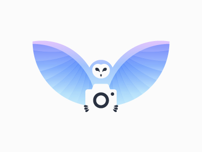 Camera Owl