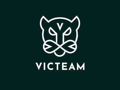 VICTEAM