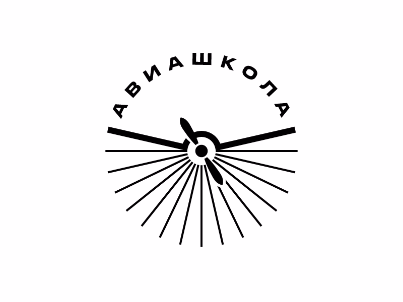 Авиашкола shot