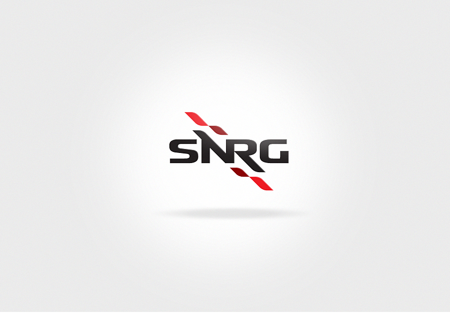 SNRG presentation