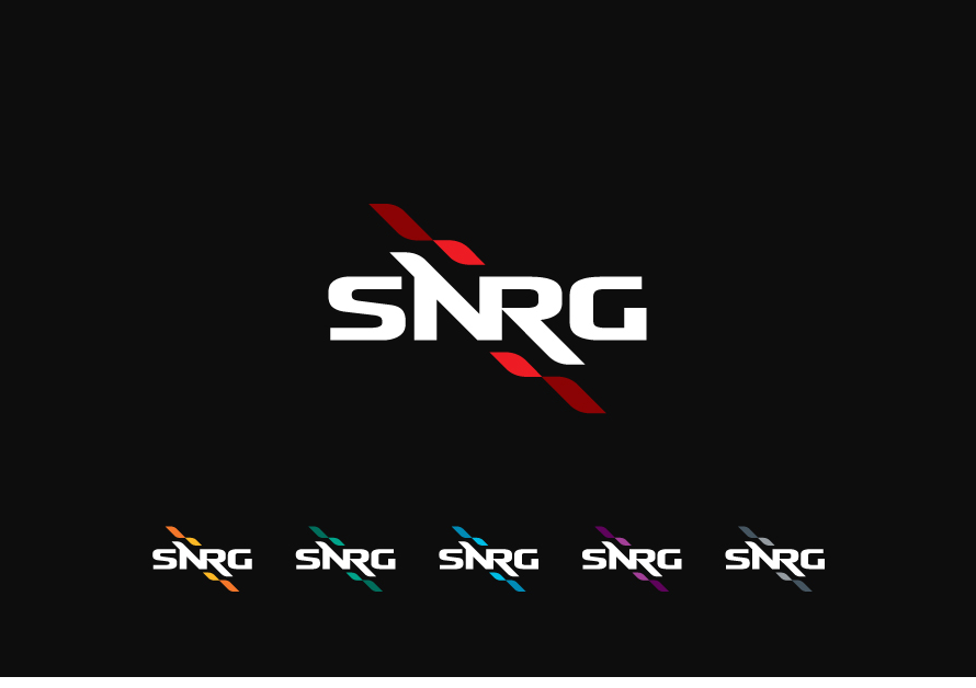SNRG presentation