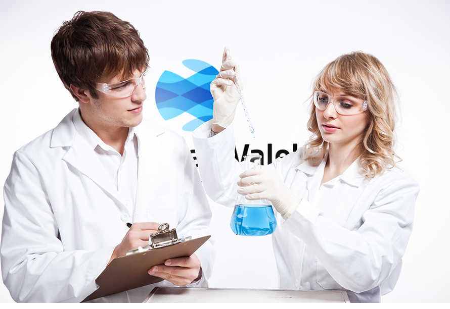 Max Valels Lab presentation