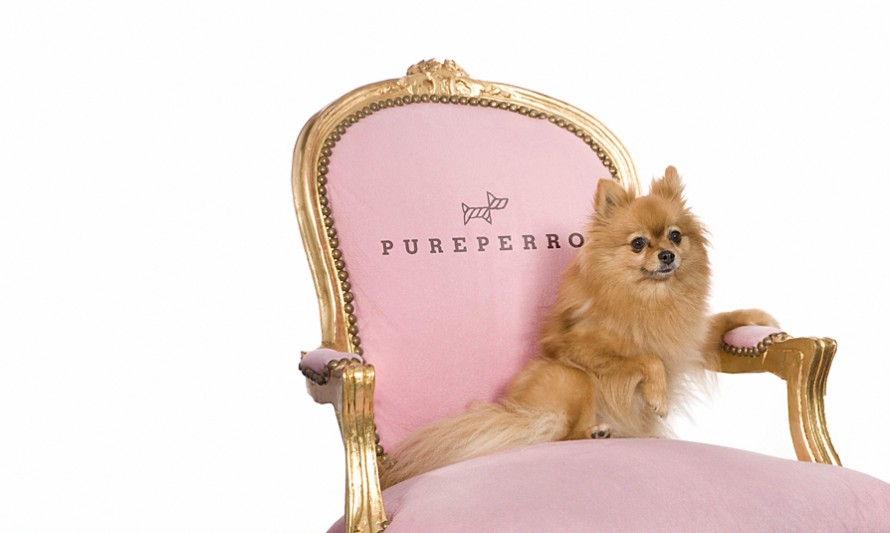 PurePerro presentation