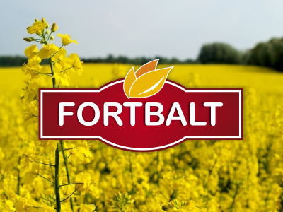 Fortbalt