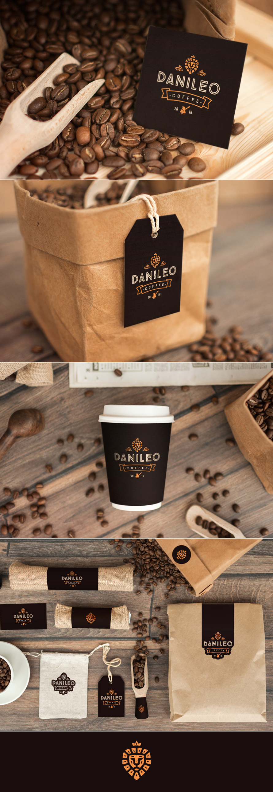 DANILEO presentation