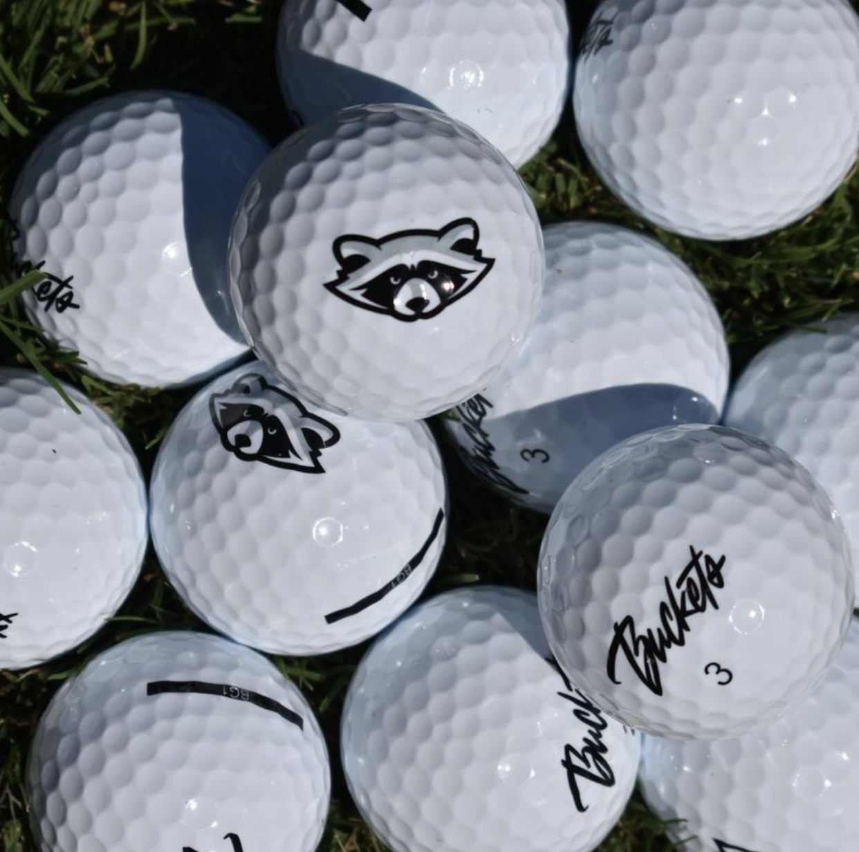 Buckets mascot presentation