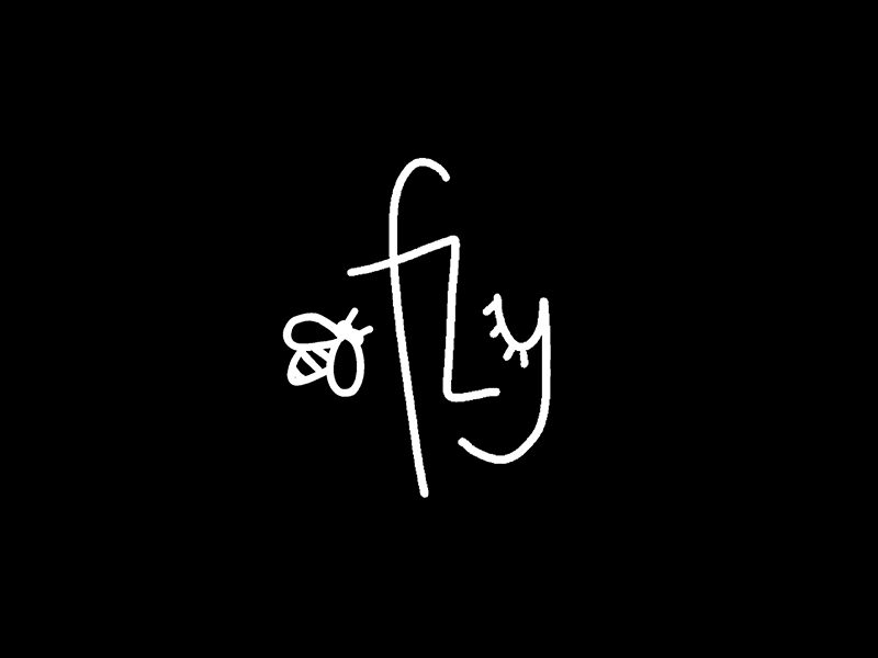fly