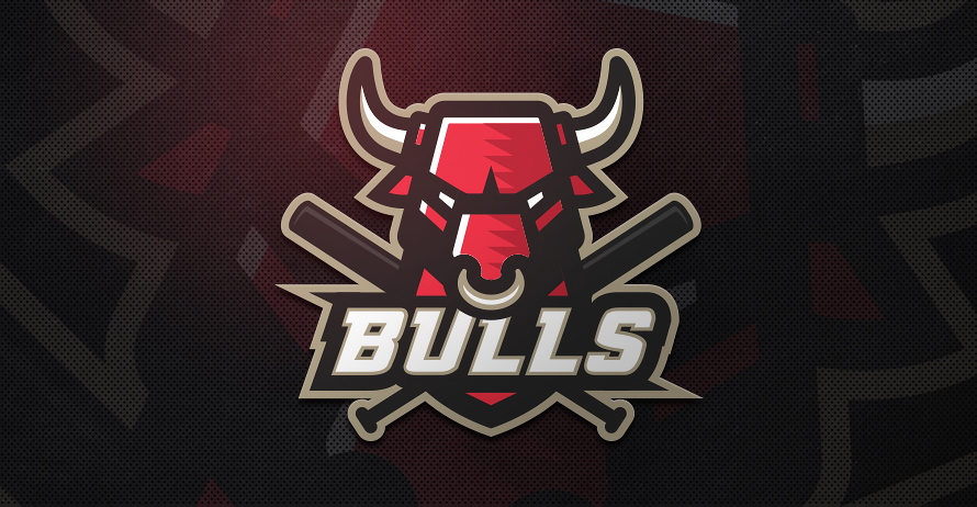 Bulls presentation