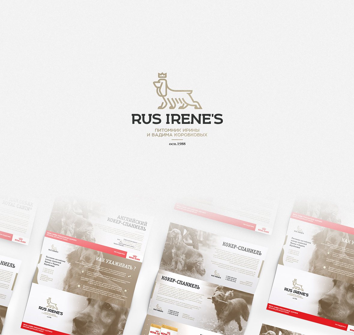 Rus Irenes presentation