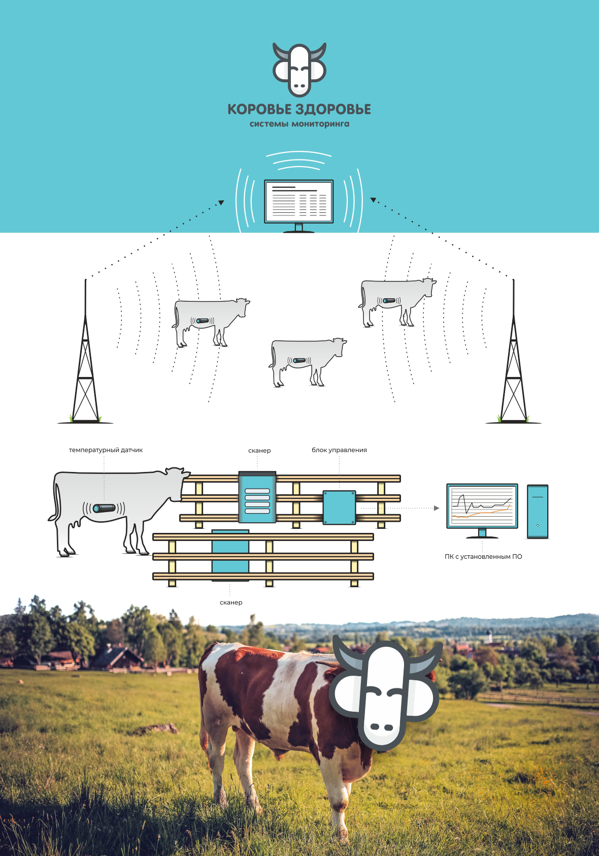 Коровье здоровье presentation