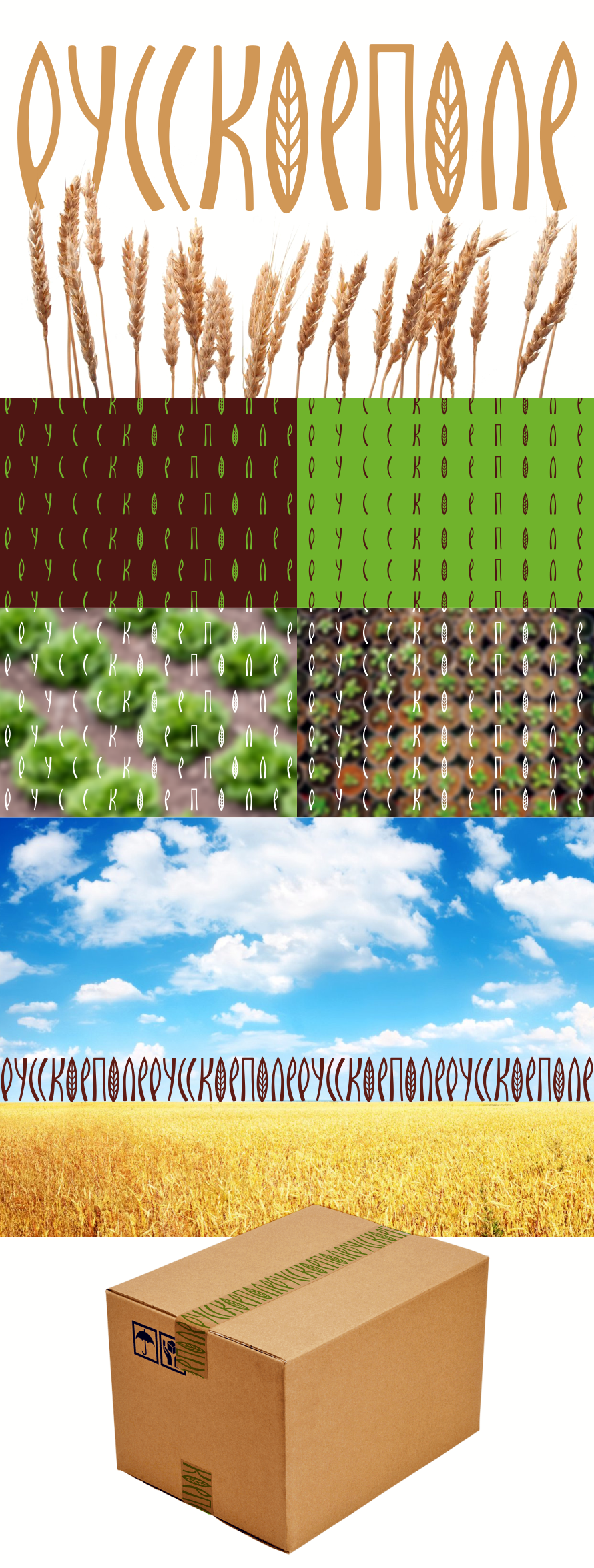 Русское поле presentation