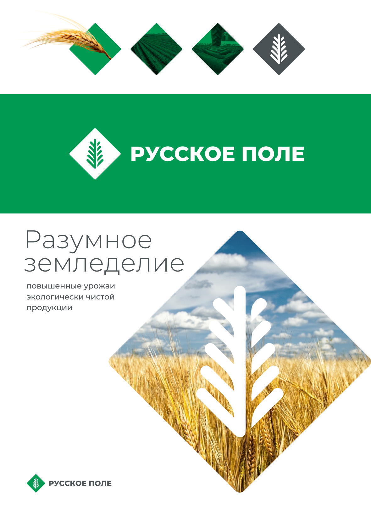 Русское поле presentation