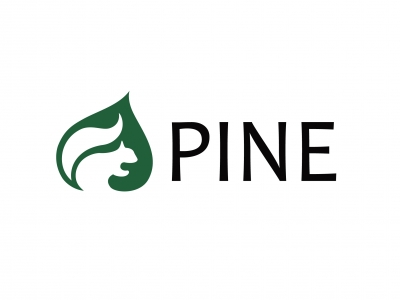 PINE