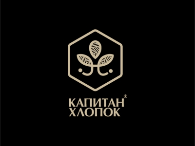 Капитан Хлопок