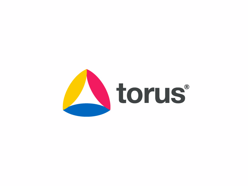 torus