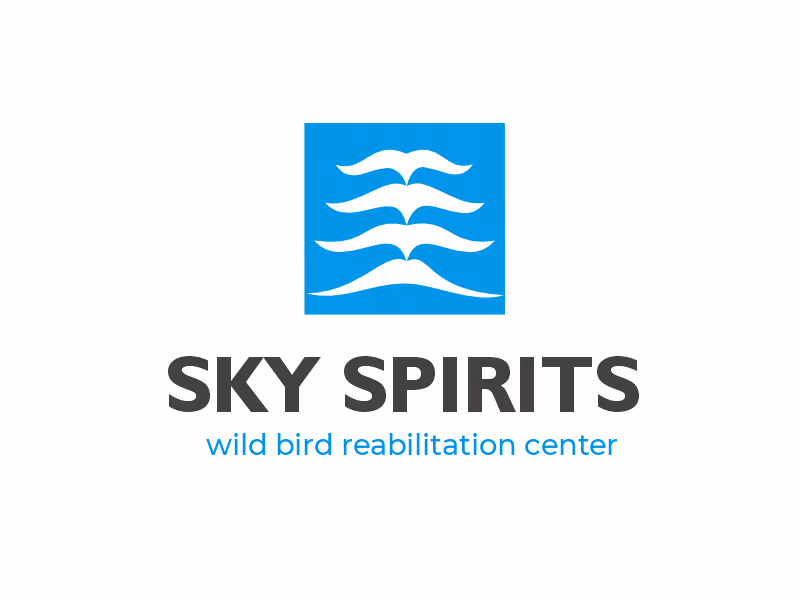 SKY SPIRIT presentation