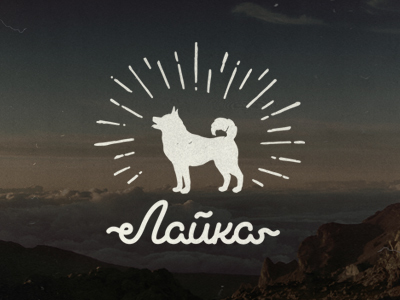 Лайка