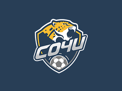 ФК Сочи Альтернативный лого