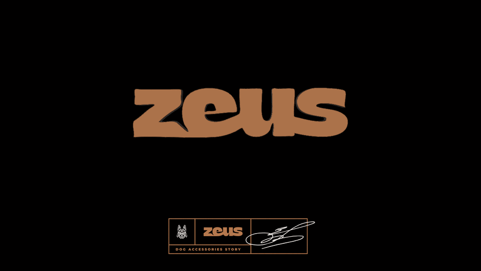 Zeus presentation