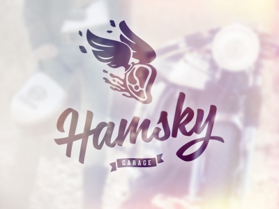 Hamsky garage