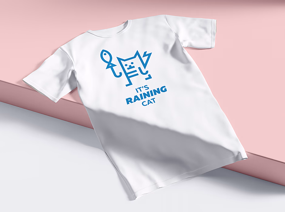 Its Raining Cat presentation