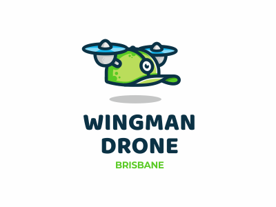Wingman Drone