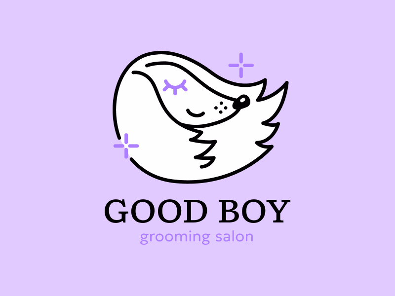 Good boy grooming salon shot