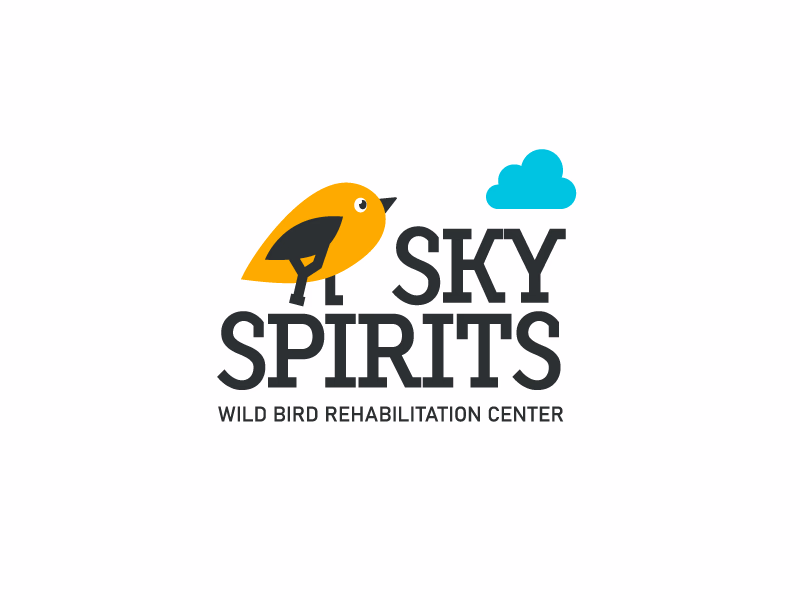 Sky Spirits