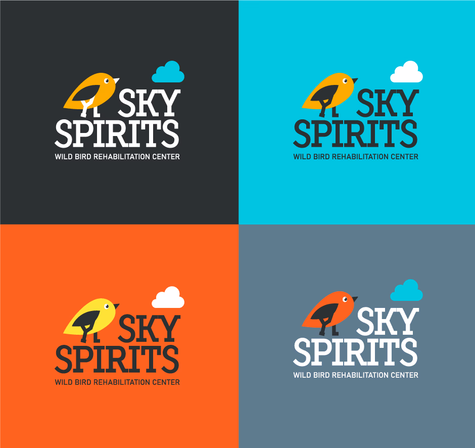 Sky Spirits presentation