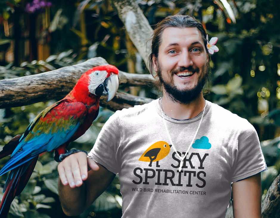 Sky Spirits presentation