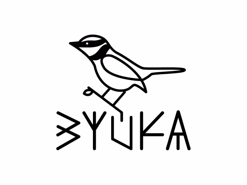 Зуйка