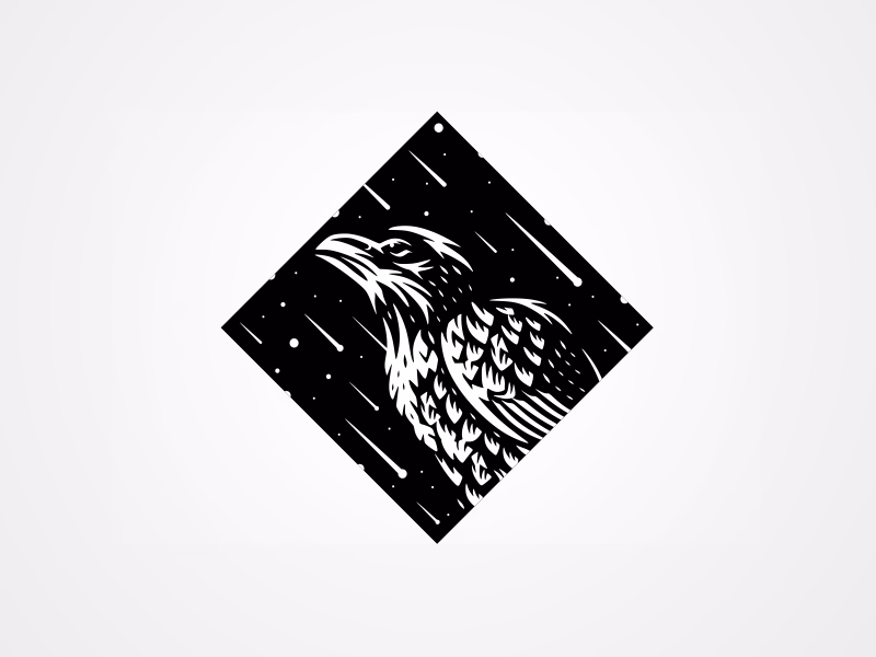 Eagles Watching Shooting Stars