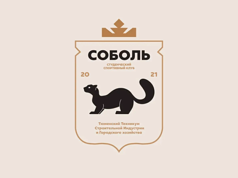 Соболь студенческий спортивный клуб