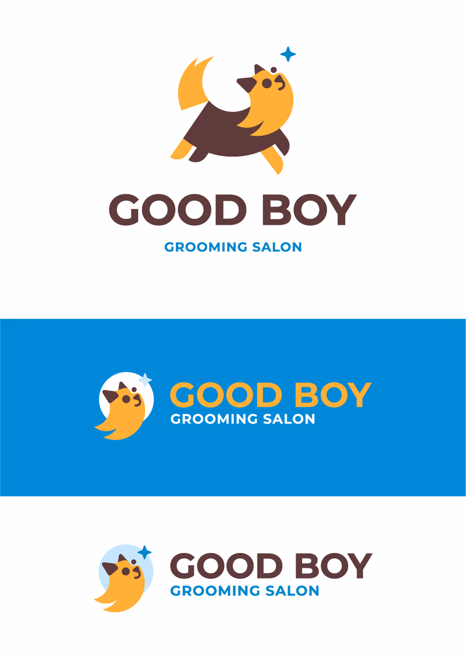 Good boy presentation