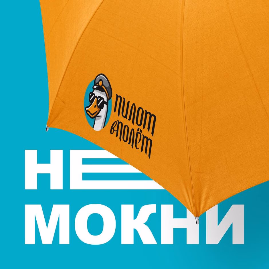 ПИЛОТ В ПОЛЕТ presentation