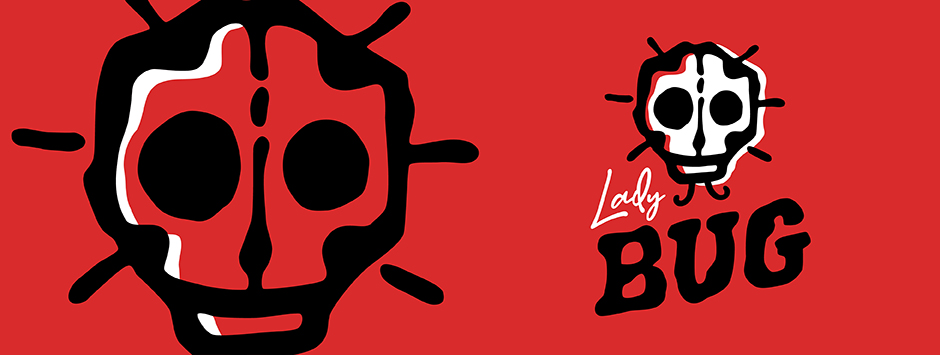 Ladybug presentation