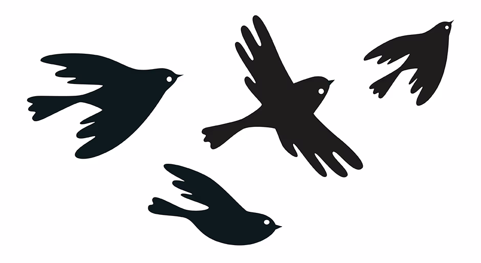 Sky spirits presentation